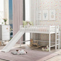 Twin Size Low Loft Bed with Ladder and Slide
